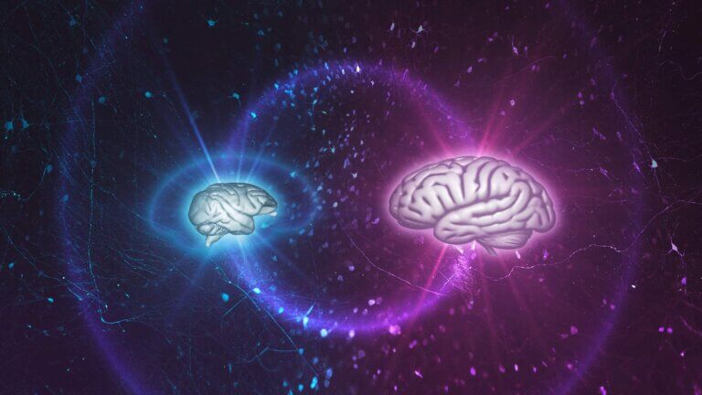 Image showing a non-human primate brain compared with a human brain