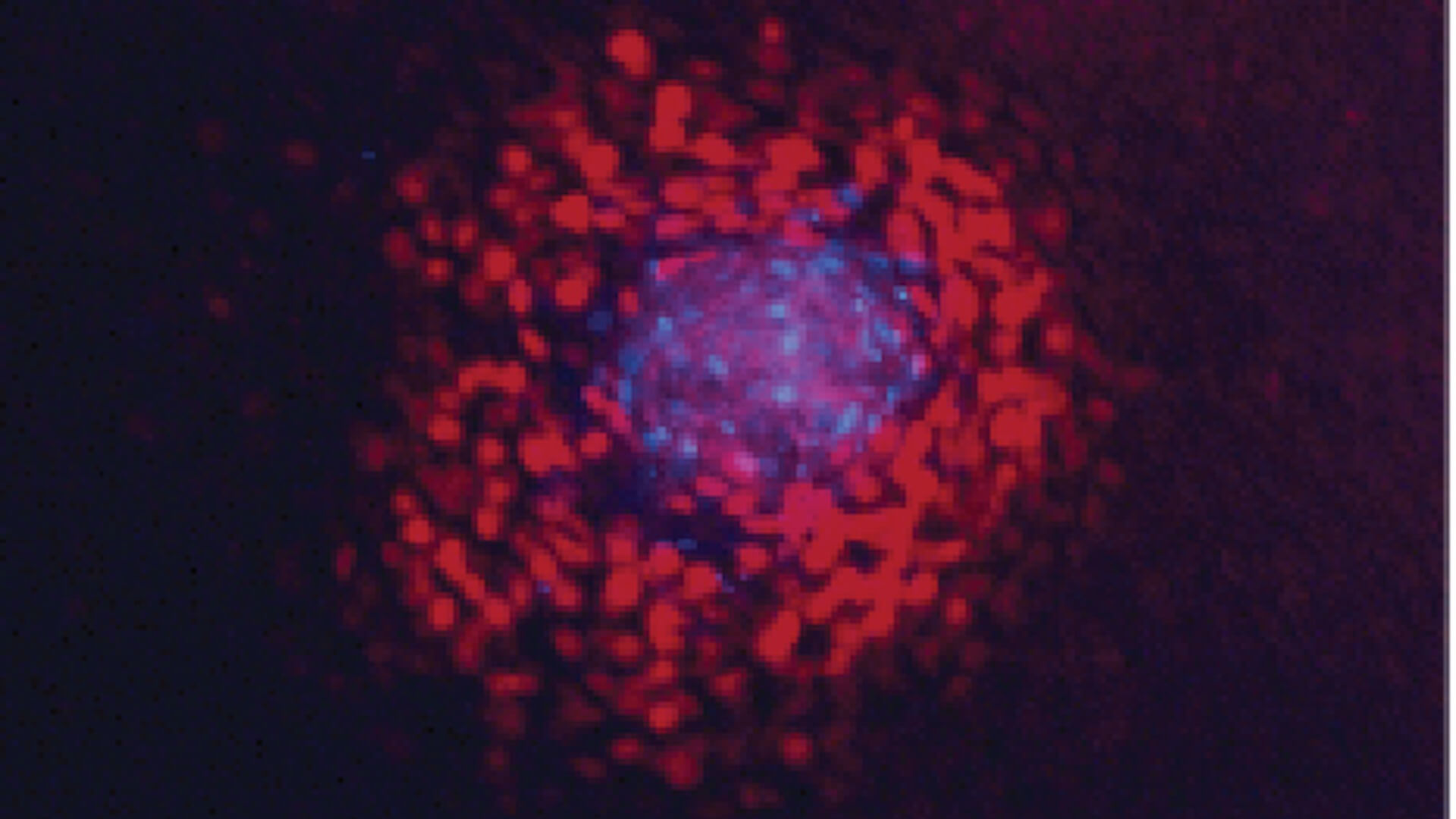 http://Organoids
